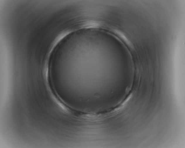 X0000113571418200909251125