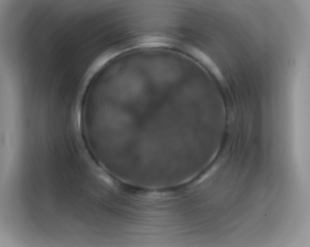 X0000113571419200909251125