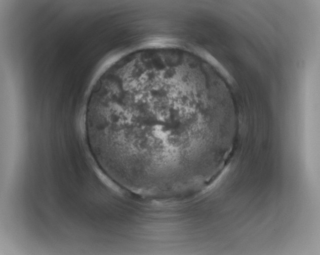 X0000113571421200909251125