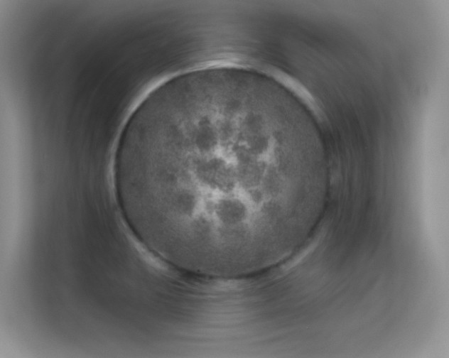X0000113571423200909251125