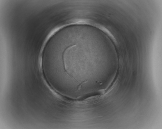X0000113571424200909251125