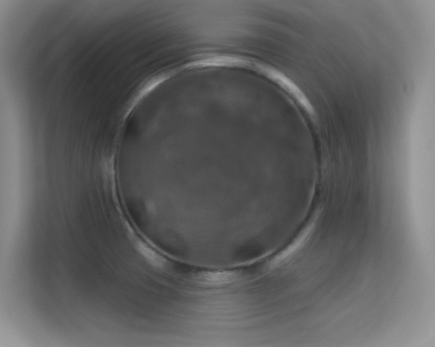X0000113571425200909251125