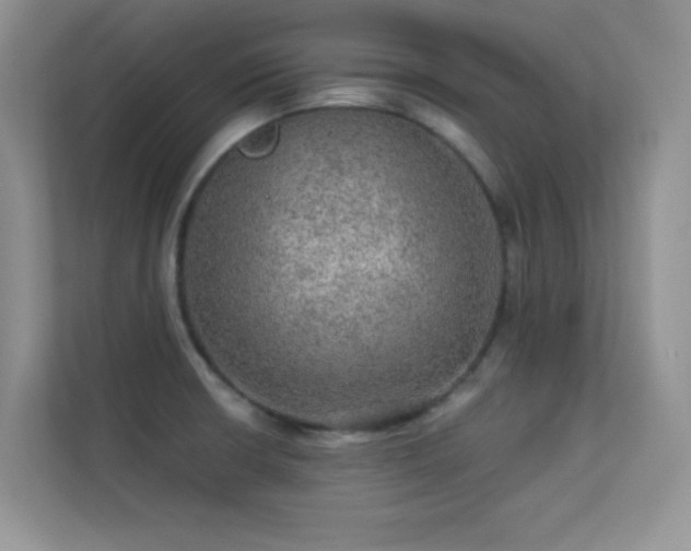 X0000113571426200909251125