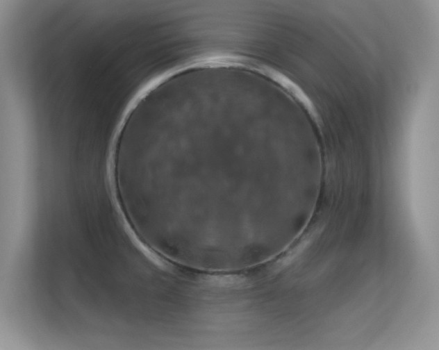 X0000113571429200909251125