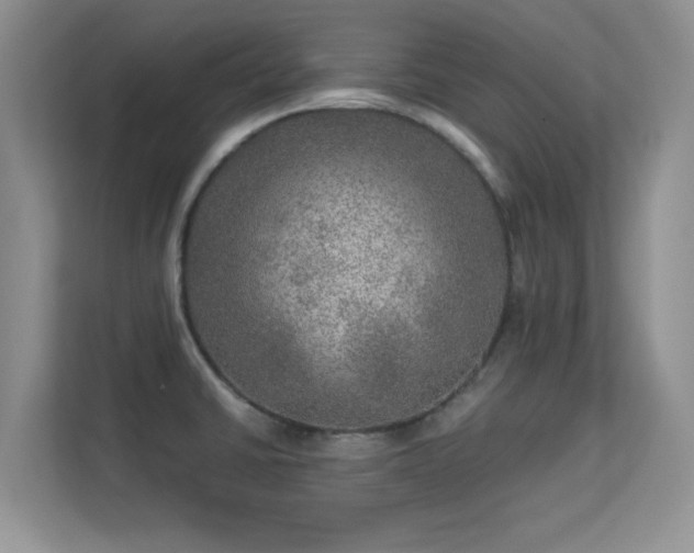 X0000113571430200909251125