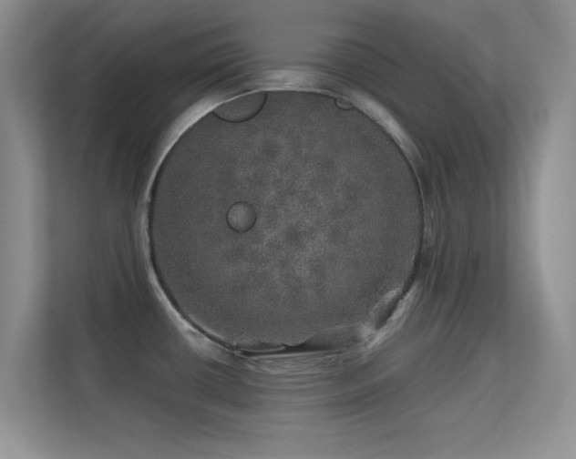 X0000113571434200909251125