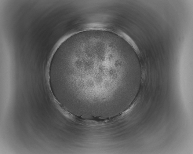 X0000113571435200909251125