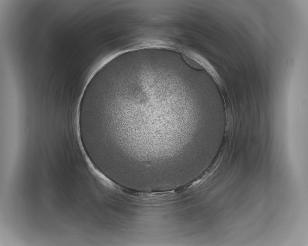 X0000113571439200909251125