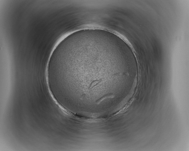 X0000113571440200909251125