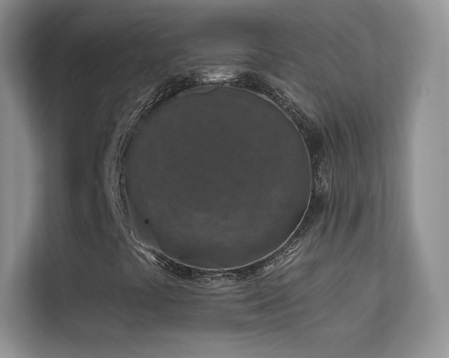 X0000113571441200909251125