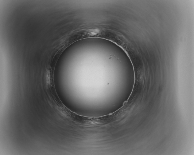 X0000113571442200909251125