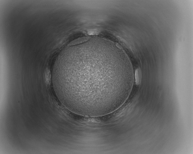 X0000113571443200909251125