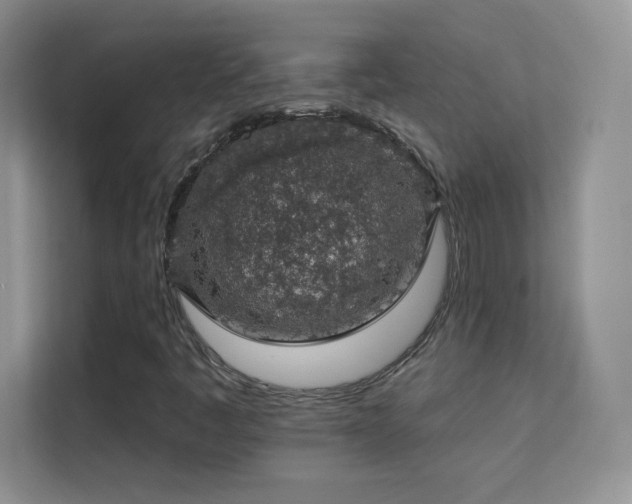 X0000113571445200909251125