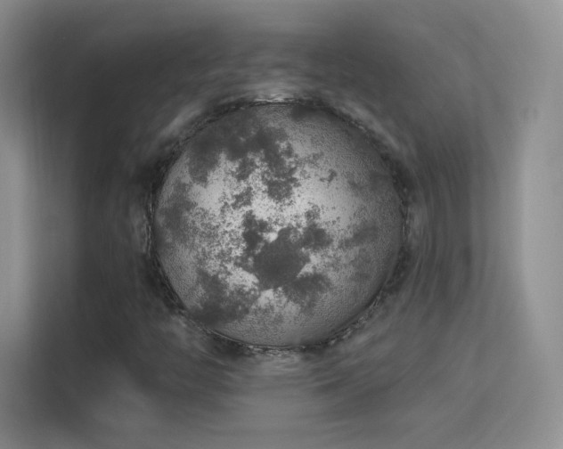 X0000113571446200909251125