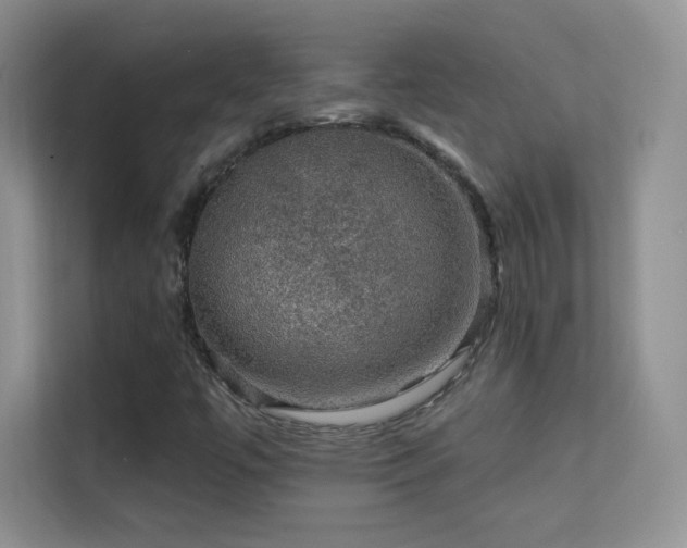 X0000113571447200909251125