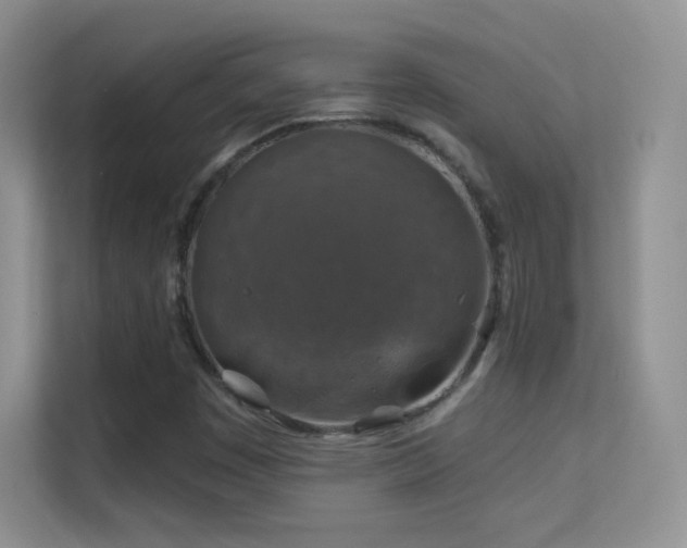 X0000113571449200909251125