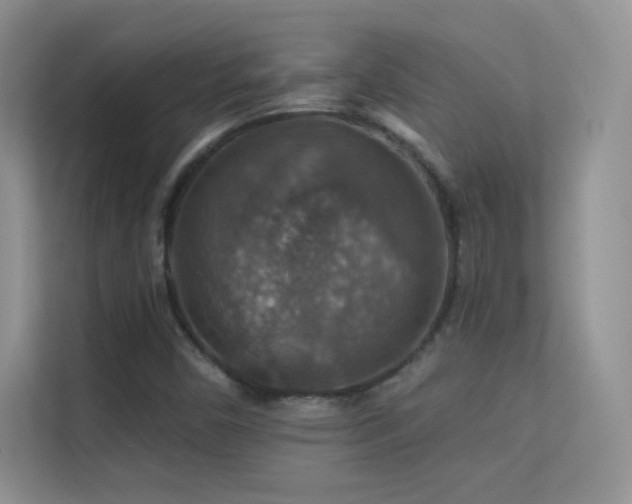 X0000113571450200909251125