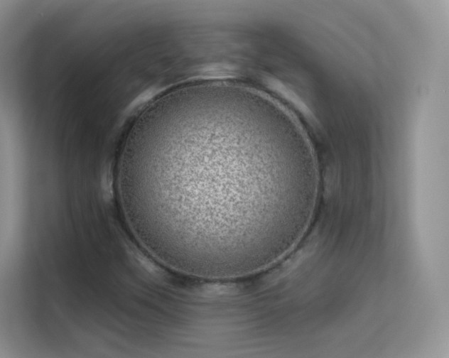 X0000113571451200909251125