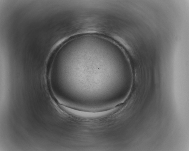 X0000113571452200909251125