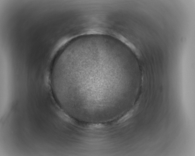 X0000113571454200909251124