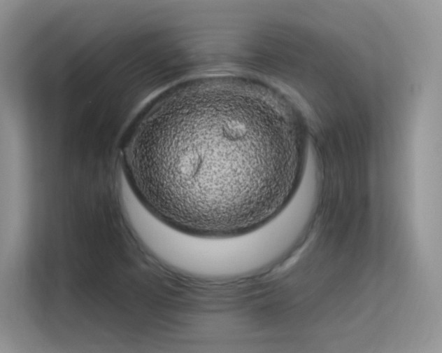 X0000113571457200909251124