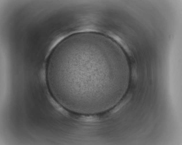 X0000113571460200909251124