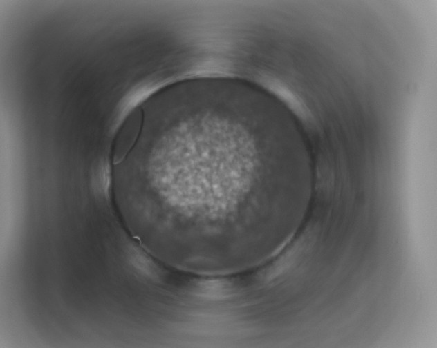 X0000113571461200909251124