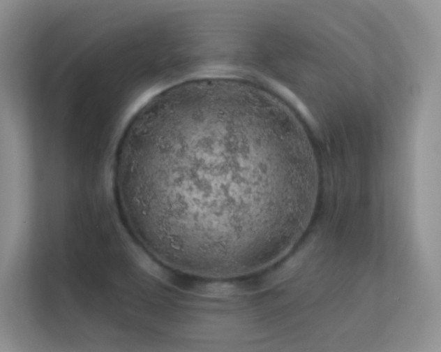 X0000113571463200909251124