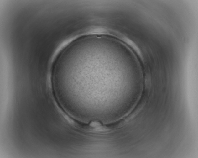 X0000113571464200909251124