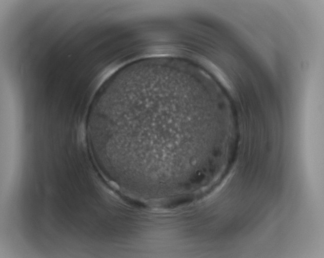 X0000113571465200909251124