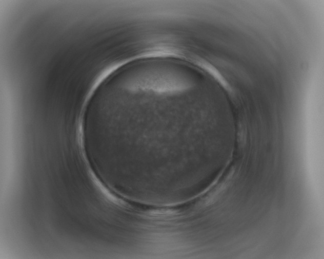 X0000113571468200909251124
