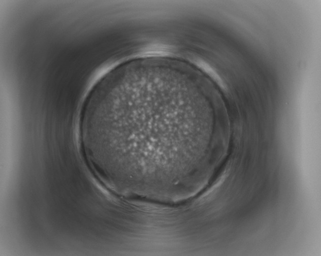 X0000113571469200909251124