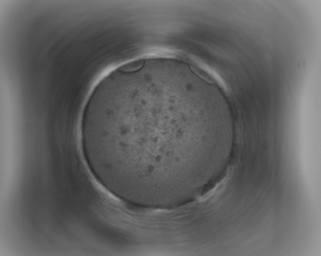 X0000113571471200909251124
