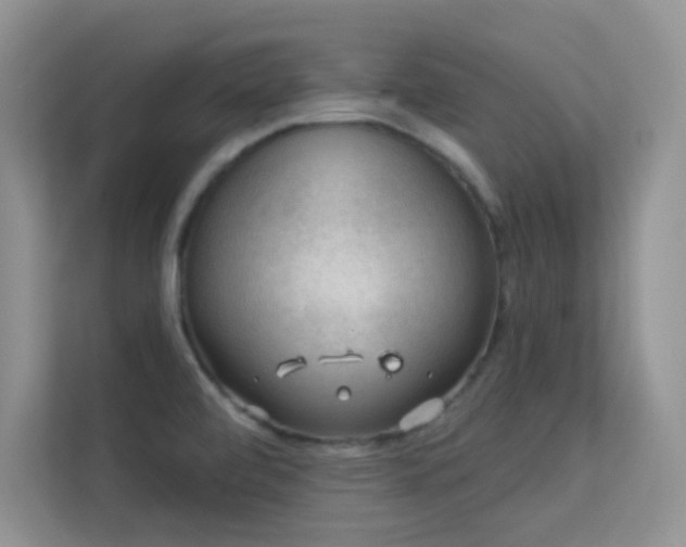 X0000113571472200909251124