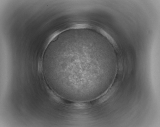 X0000113571473200909251124