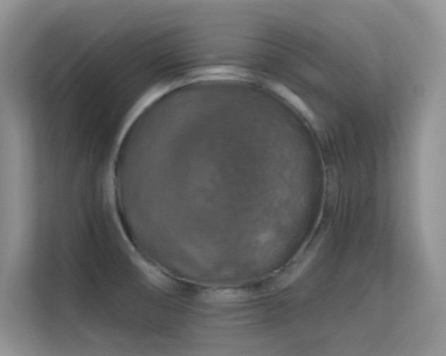 X0000113571474200909251124