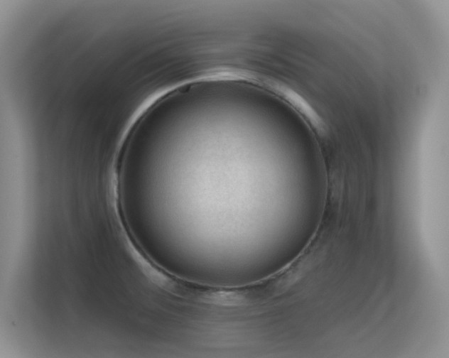 X0000113571476200909251124