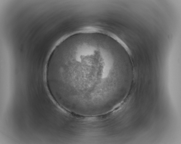 X0000113571477200909251124