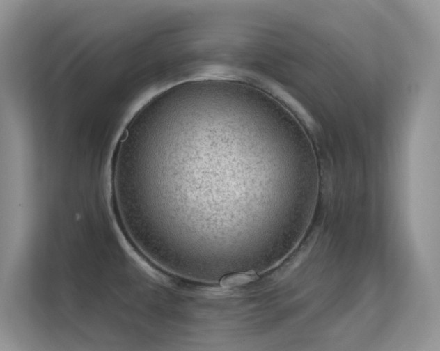 X0000113571479200909251124