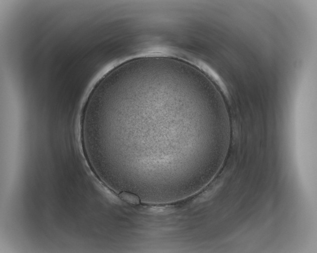 X0000113571480200909251124