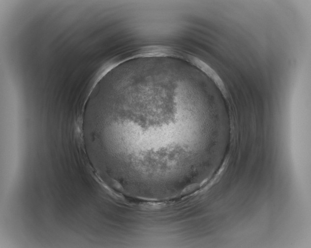 X0000113571481200909251124