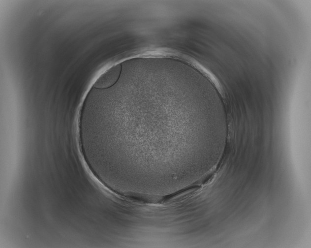 X0000113571483200909251124