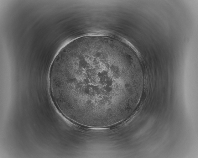 X0000113571487200909251124