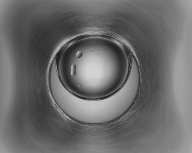 X0000113571488200909251124