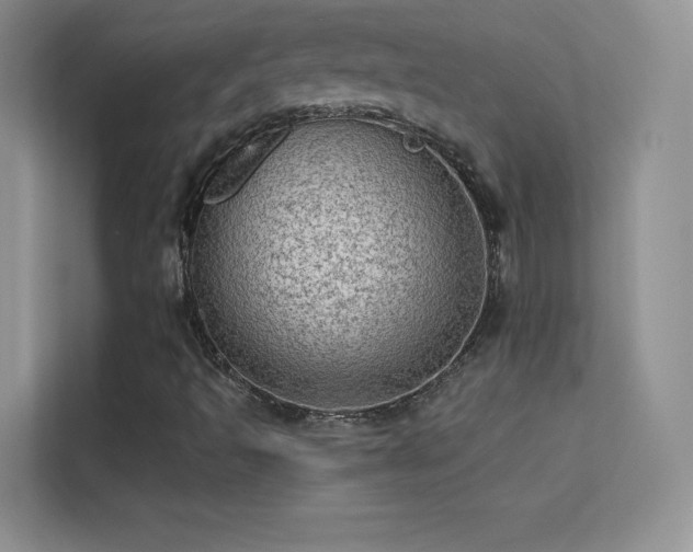 X0000113571493200909251123