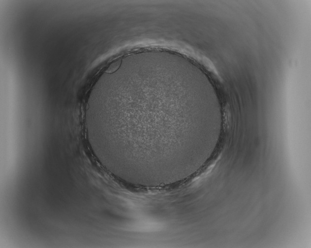 X0000113571494200909251123