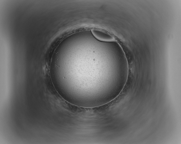 X0000113571495200909251124