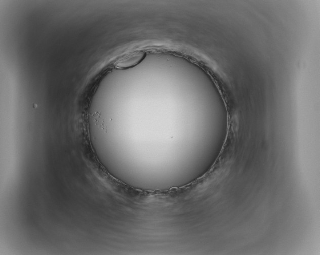 X0000113571496200909251124