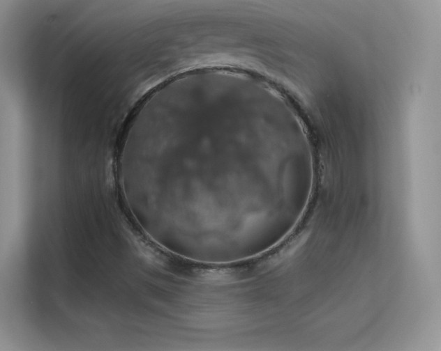 X0000113571497200909251124