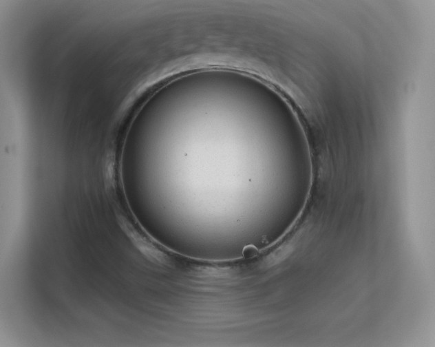 X0000113571499200909251124